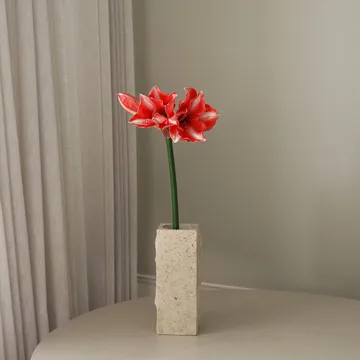 Amaryllis tekokukka - Tummanpunainen, 72 cm - Botané