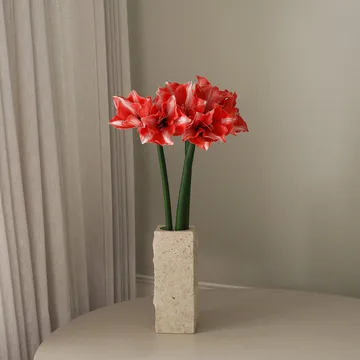 Amaryllis tekokukka - Tummanpunainen, 72 cm - Botané
