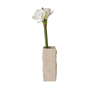 Amaryllis tekokukka - Valkoinen, 73 cm - Botané