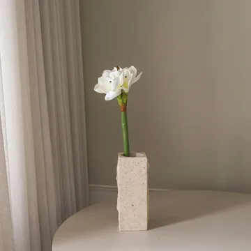 Amaryllis tekokukka - Valkoinen, 73 cm - Botané