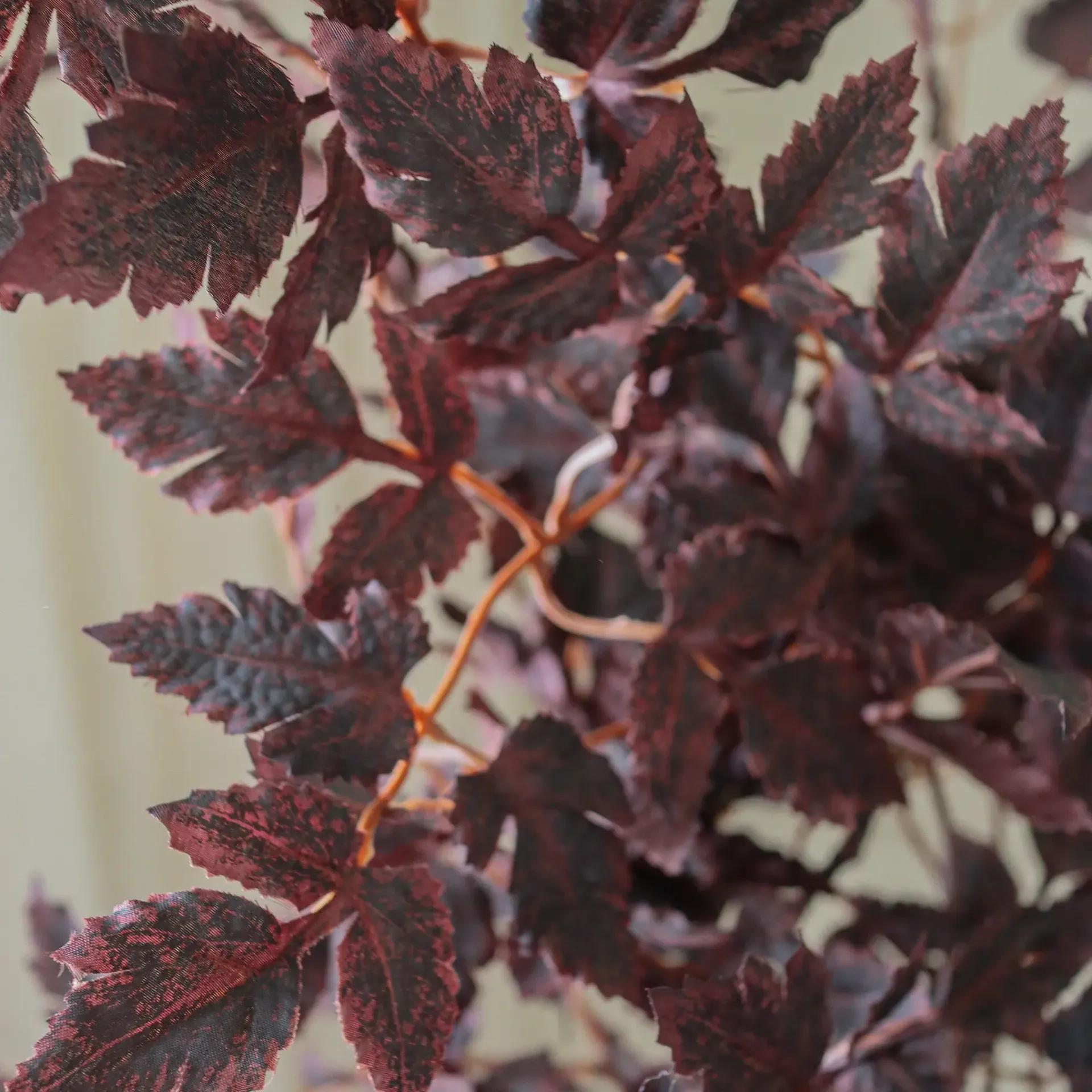 Burgundy Plum Leaves tekokimppu, Punainen, 85 cm, 1 kpl Botané