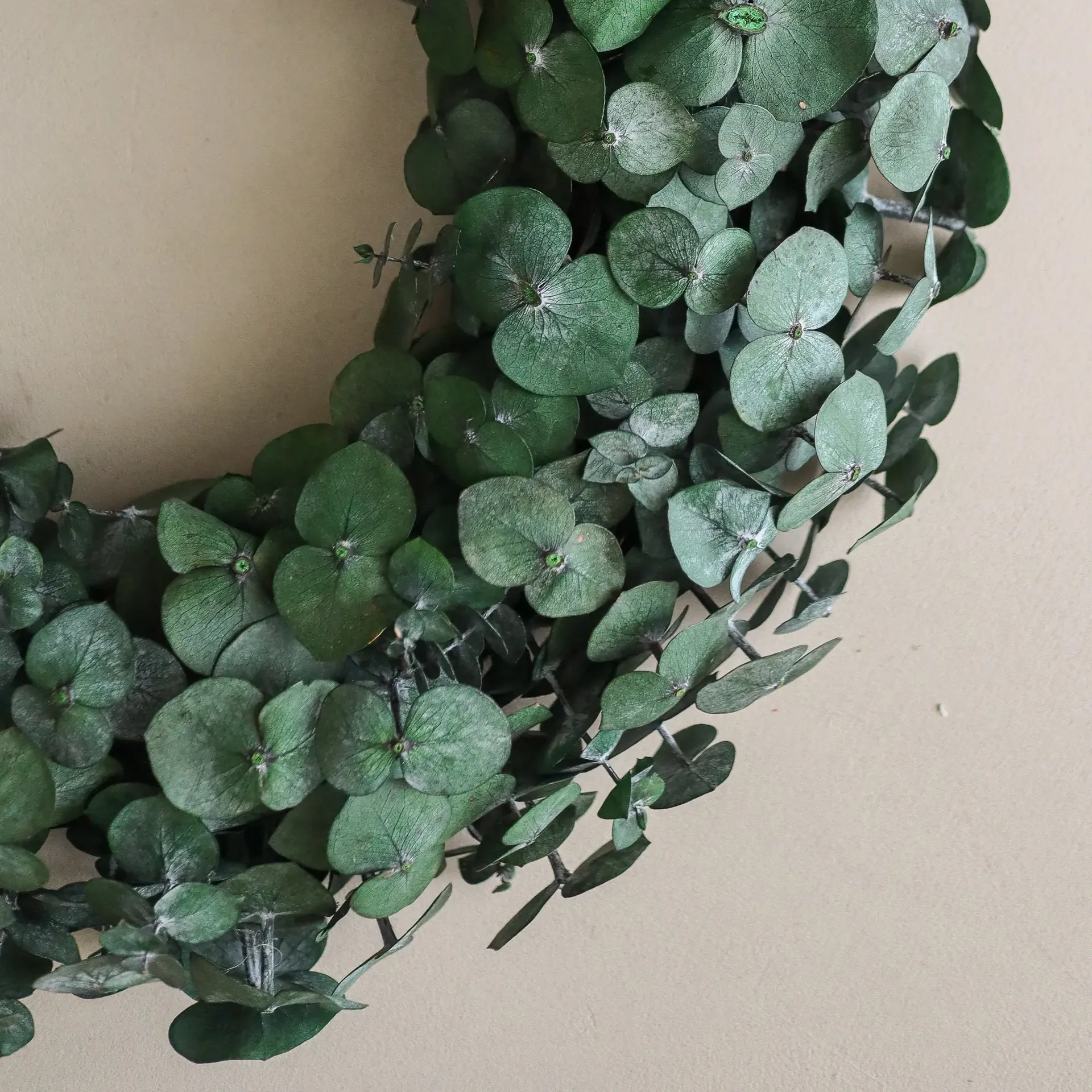 Eucalyptus Wreath kranssi, Green, Ø40 cm Botané