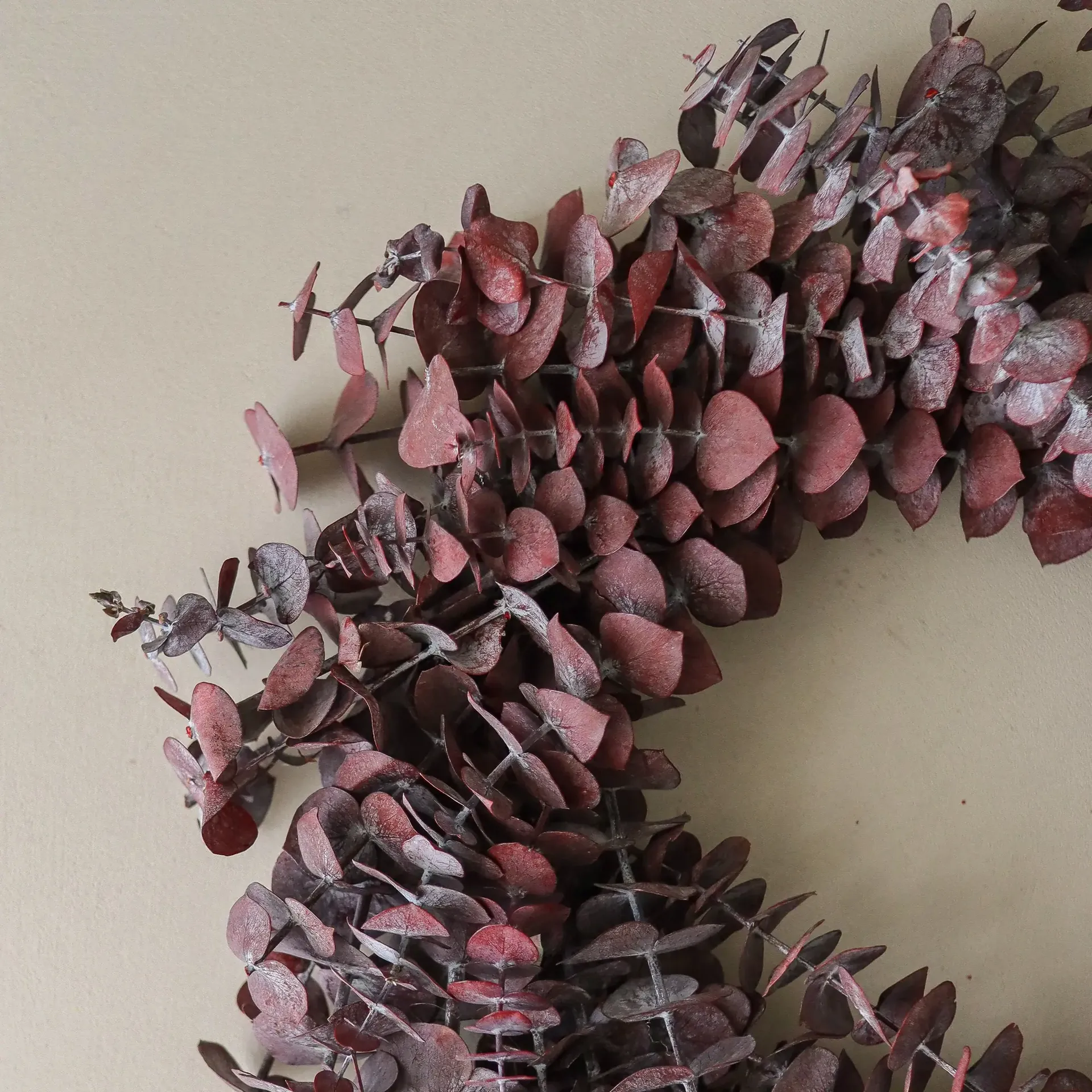 Eucalyptus Wreath kranssi, Tummanpunainen, Ø40 cm Botané