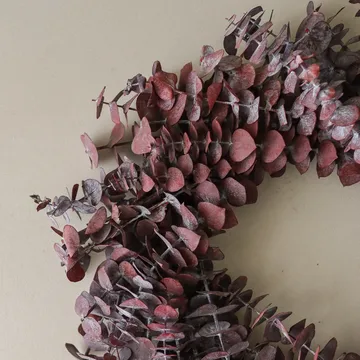 Eucalyptus Wreath kranssi - Tummanpunainen, Ø40 cm - Botané