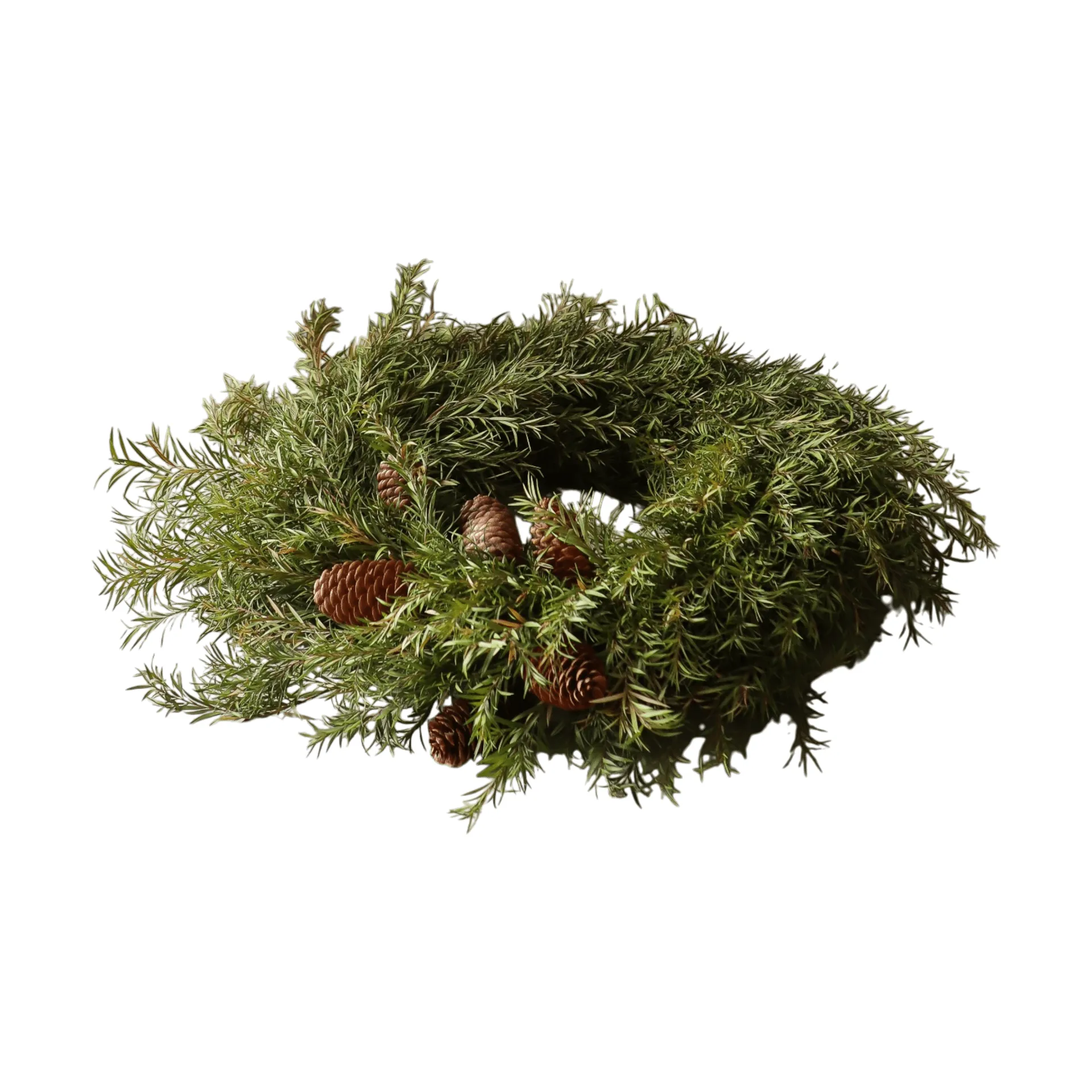 Evergreen Pine Wreath kranssi, Kuusenoksat, Ø40 cm Botané