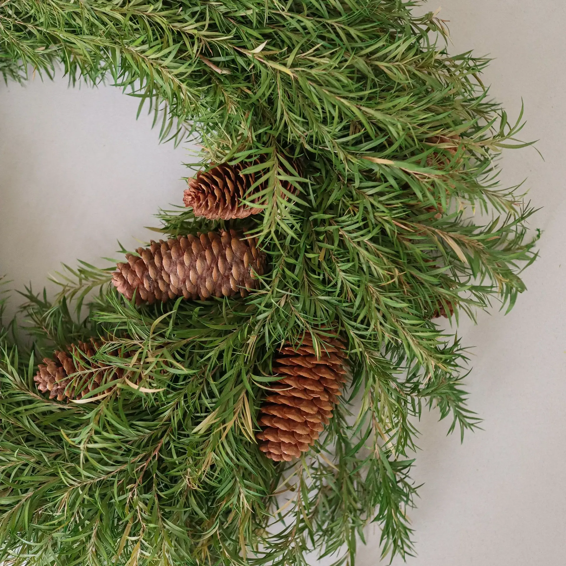 Evergreen Pine Wreath kranssi, Kuusenoksat, Ø40 cm Botané