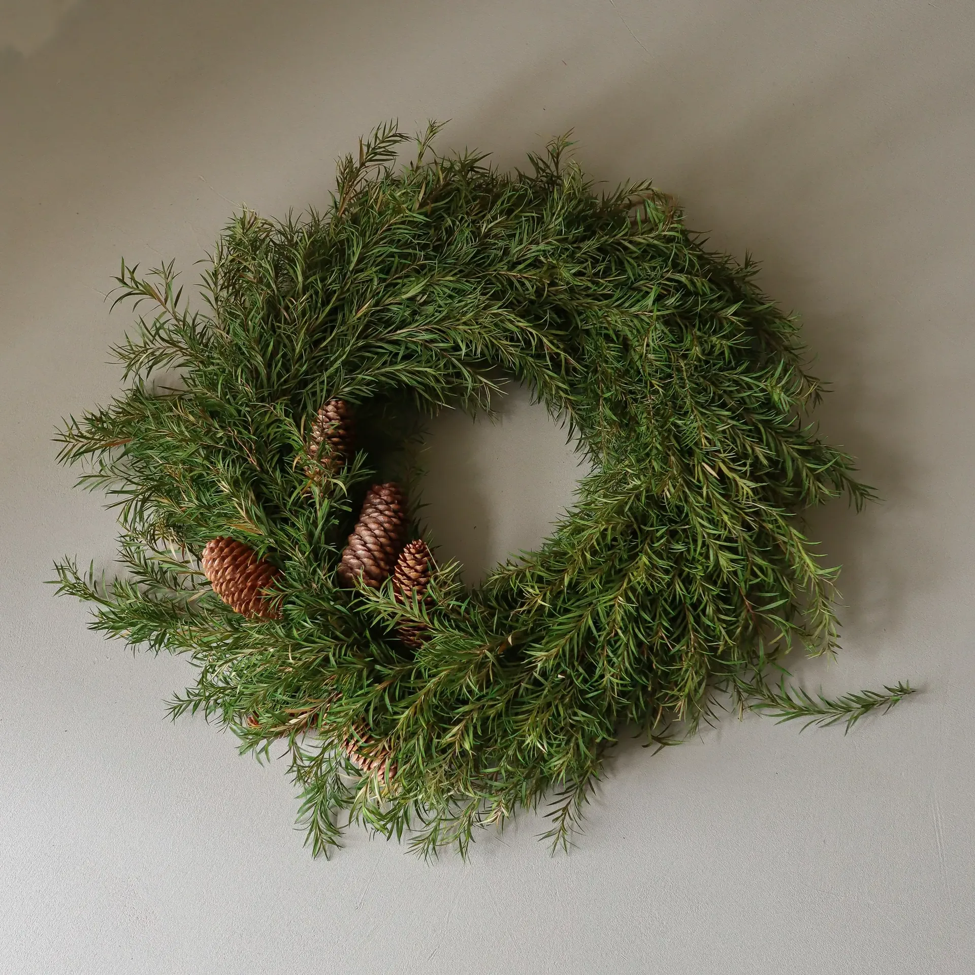Evergreen Pine Wreath kranssi, Kuusenoksat, Ø40 cm Botané