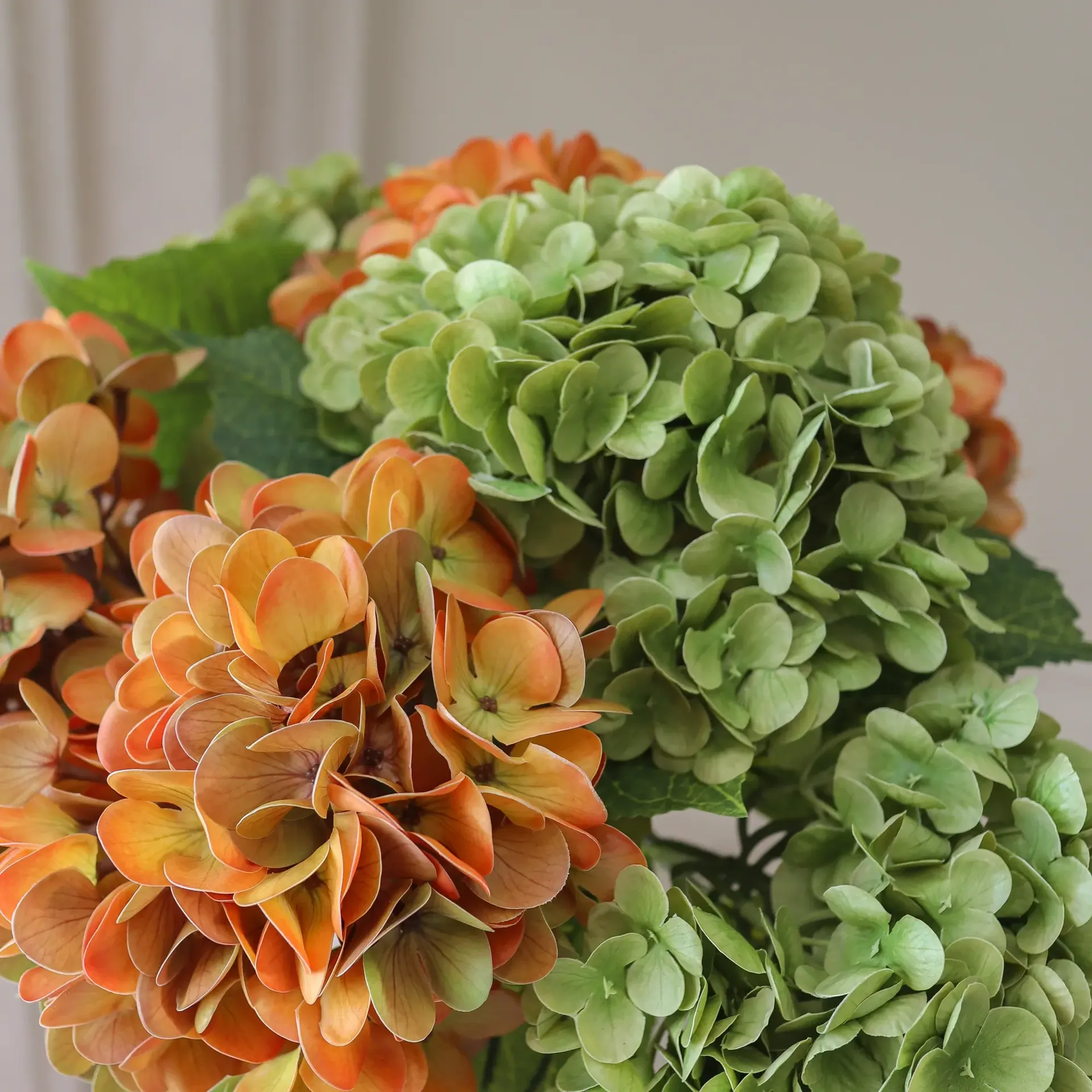 Hortensia tekokimppu, Kupari, 60 cm, 7 kpl Botané
