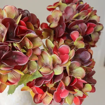 Hortensia tekokimppu - Syvä burgundy, 60 cm, 6 kpl - Botané