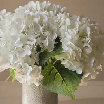 Hortensia tekokimppu - Valkoinen, 7 kpl - Botané