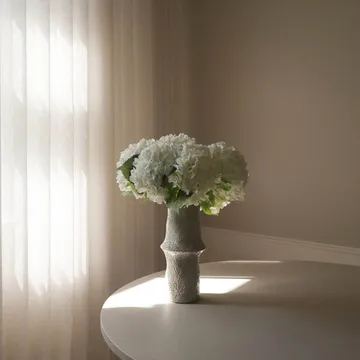 Hortensia tekokimppu - Valkoinen, 7 kpl - Botané