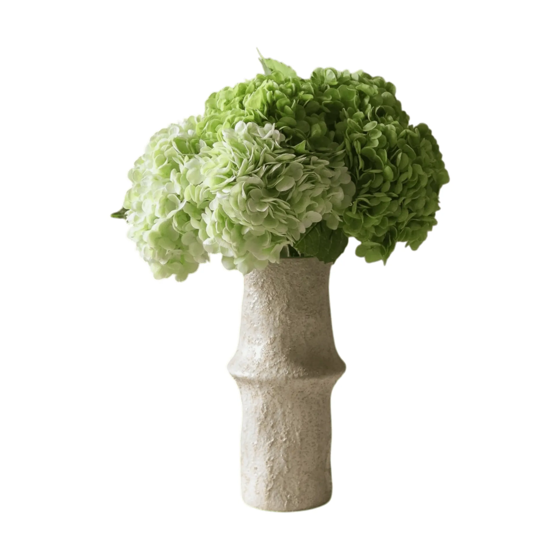 Hortensia tekokimppu, Vihreä, 7 kpl Botané
