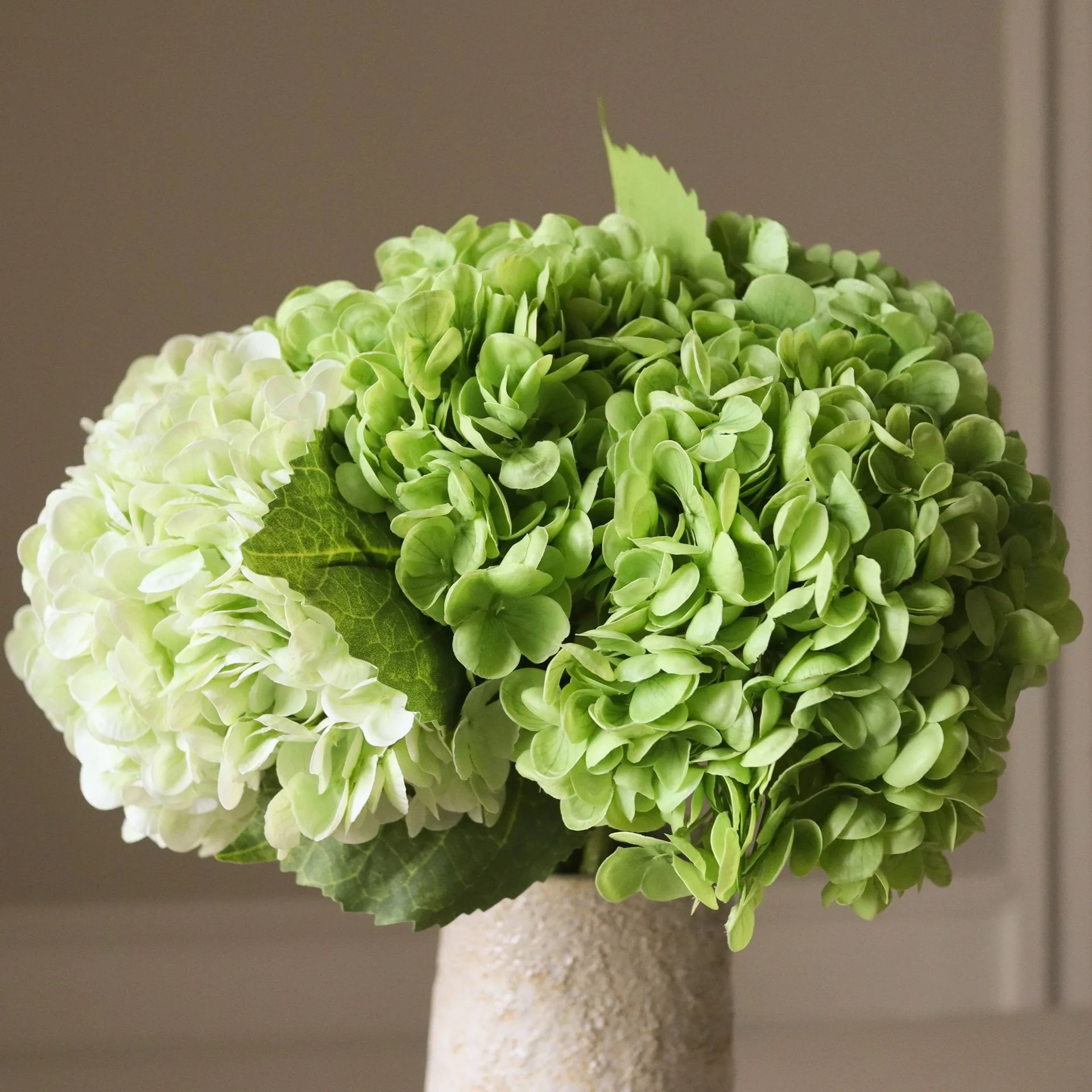 Hortensia tekokimppu, Vihreä, 7 kpl Botané
