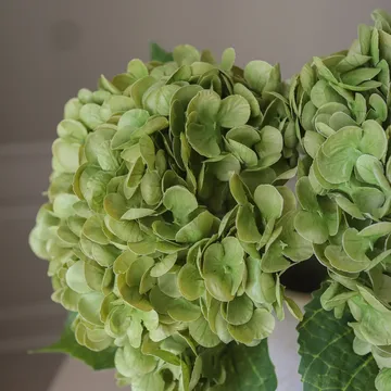 Hortensia tekokukka - Moss green, 51 cm, 1 kpl - Botané