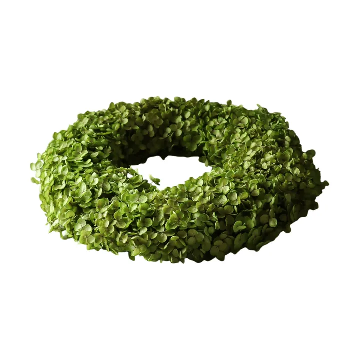 Hortensia Wreath kukkakranssi - Vaaleanvihreä, Ø40 cm - Botané