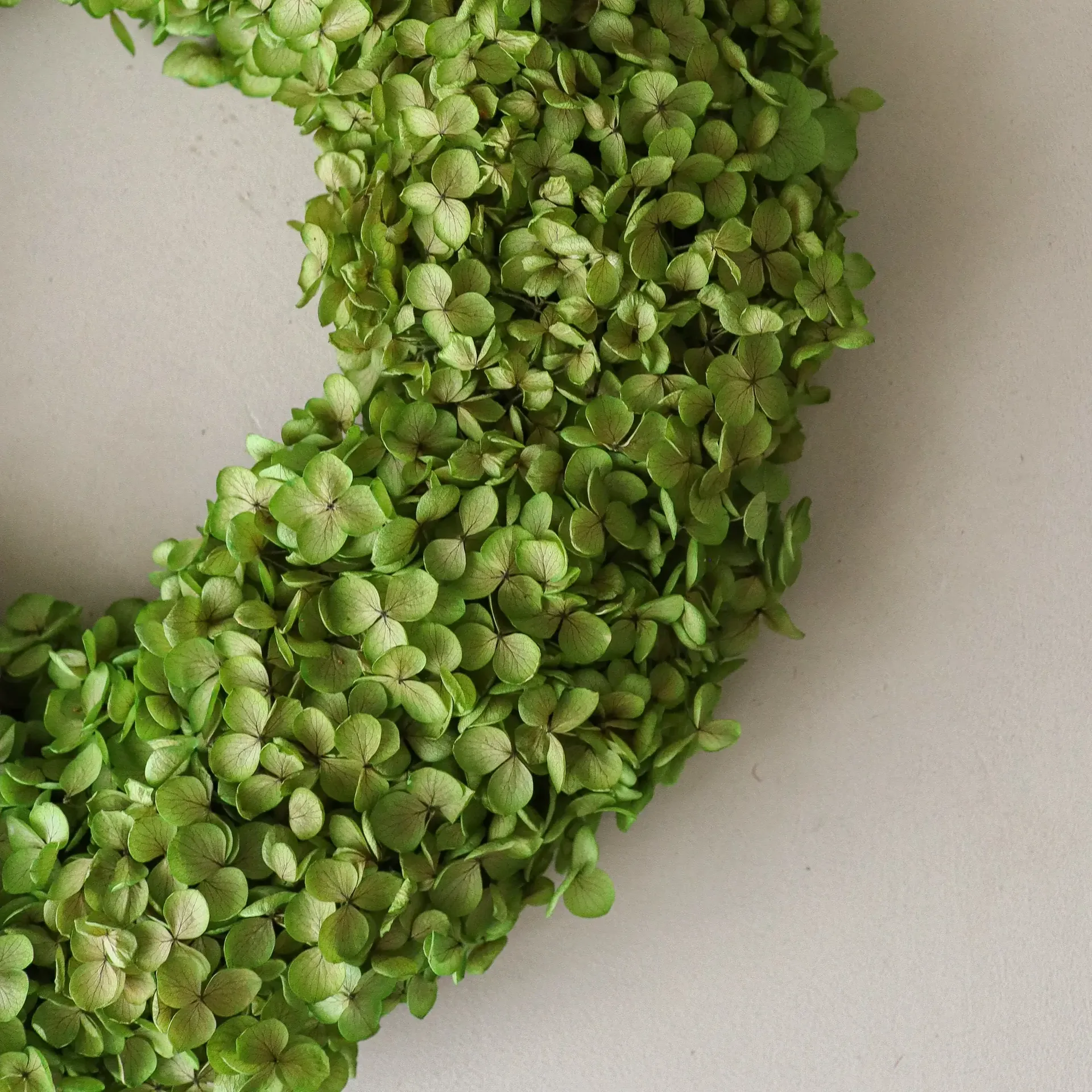 Hortensia Wreath kukkakranssi, Vaaleanvihreä, Ø40 cm Botané