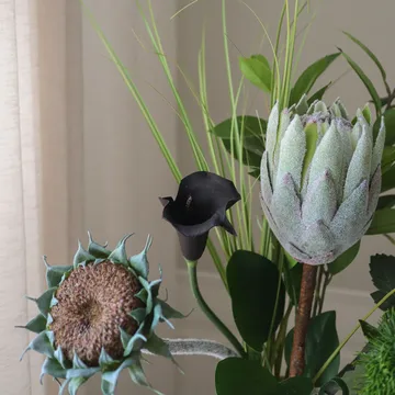 Midnight Wilderness tekokimppu - Kuningasprotea–krysanteemi–calla–neilikka, 78 cm, 7 kpl - Botané
