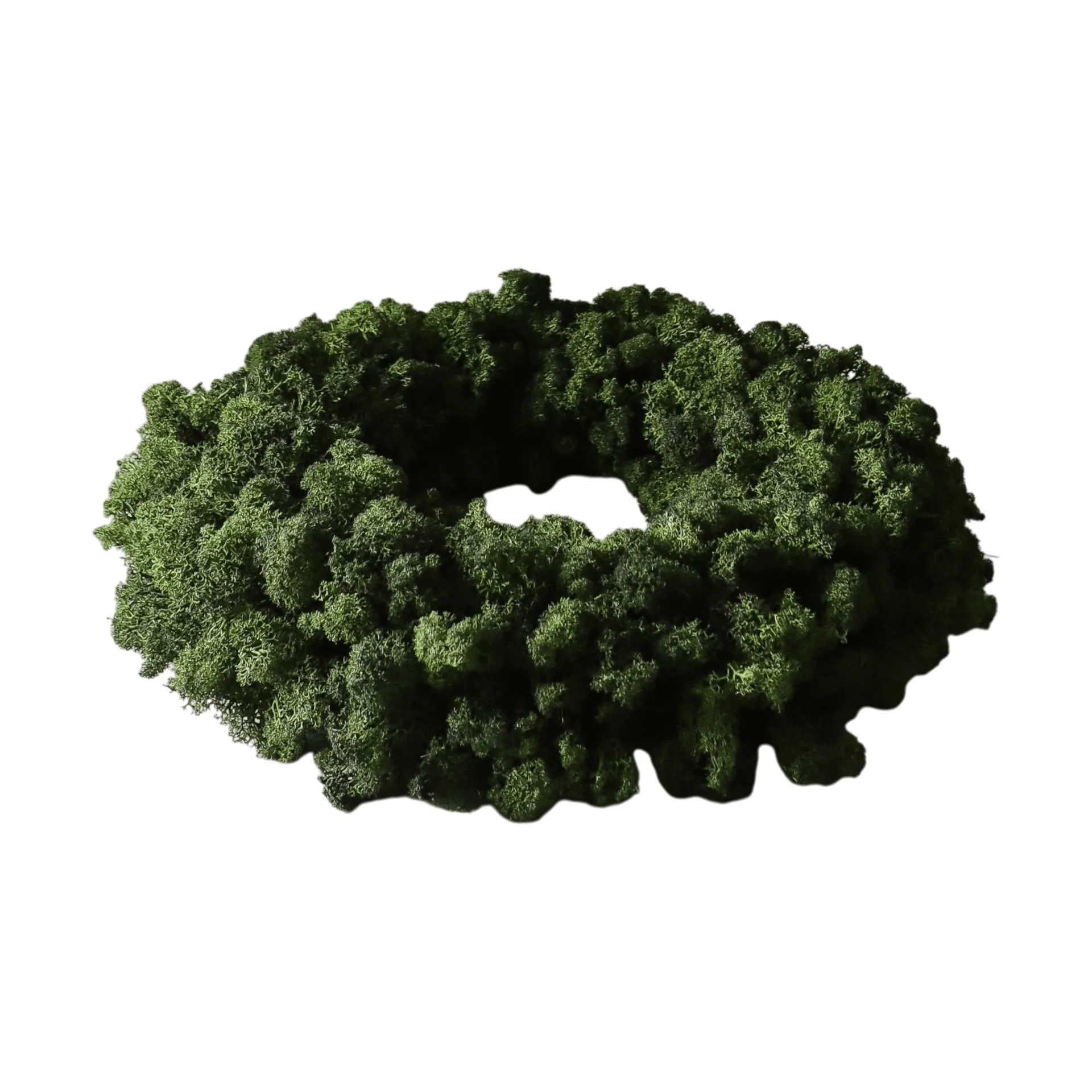 Moss Wreath sammal­kranssi, Green, Ø40 cm Botané