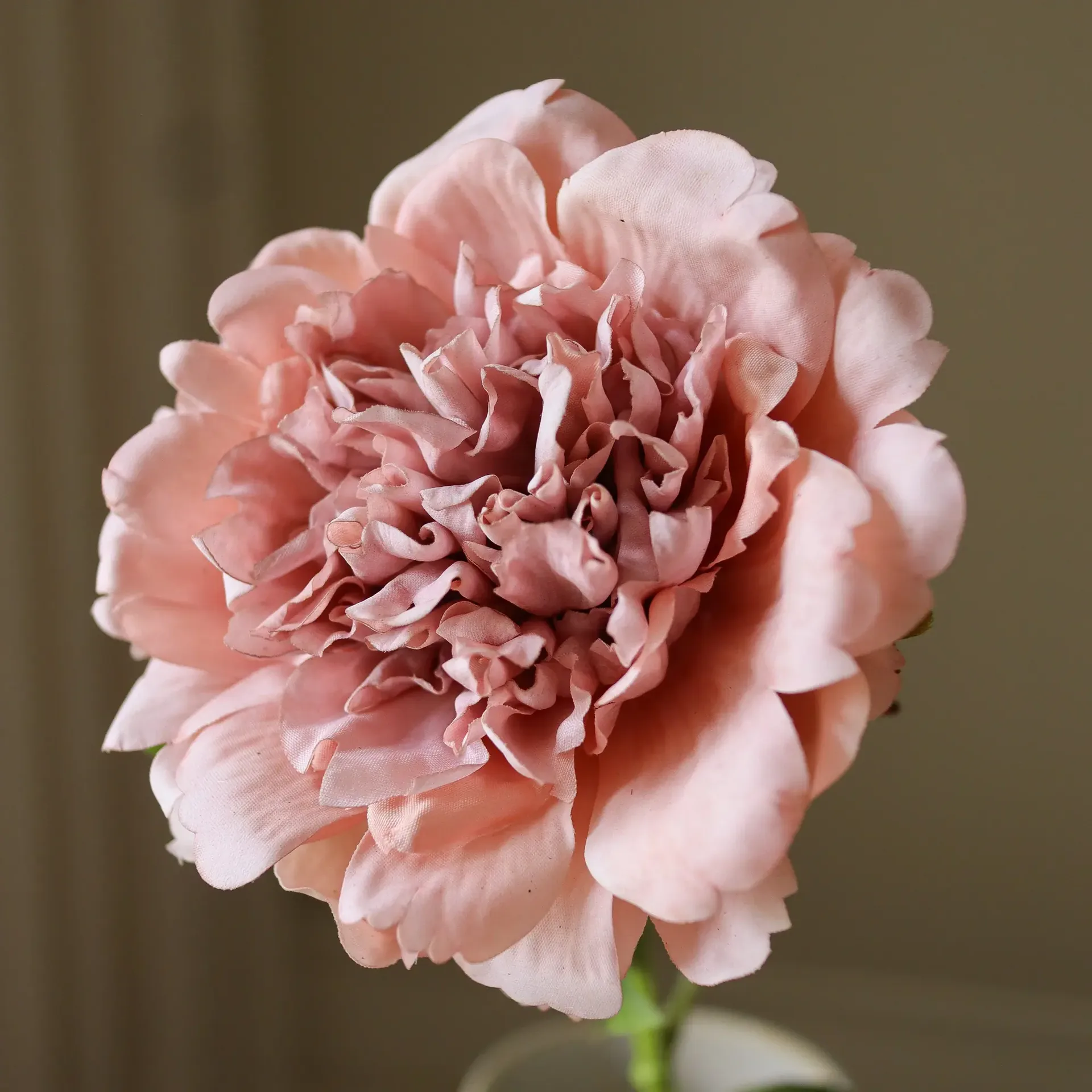Pion tekokukka, Dusty pink, 56 cm, 1 kpl Botané
