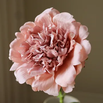 Pion tekokukka - Dusty pink, 56 cm, 1 kpl - Botané