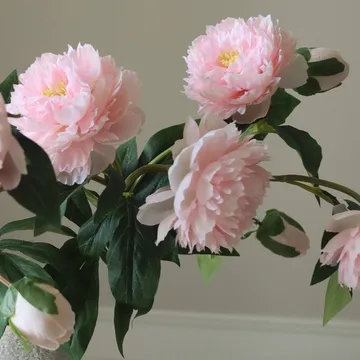 Pioner tekokimppu - Medium, vaaleanpunainen 5 kpl - Botané