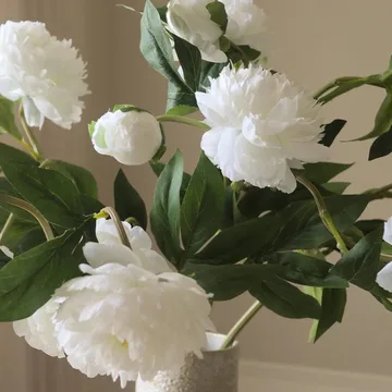 Pioner tekokimppu - Medium, valkoinen 5 kpl - Botané