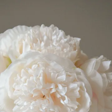 Pioner tekokimppu - Mini, cream 10 kpl - Botané