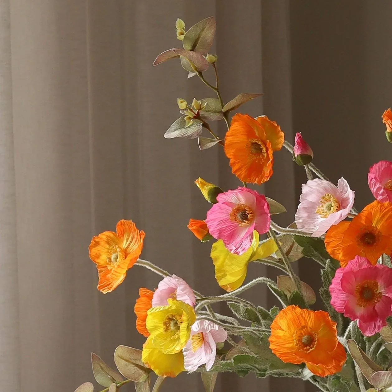 Poppy Spritz tekokimppu, Unikko-eukalyptus 10 kpl Botané