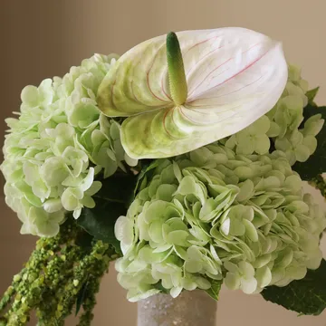 Tekokimppu Dewdrop Symphony - Hortensia vaaleanvihreä anthurium amarantti 6 kpl - Botané