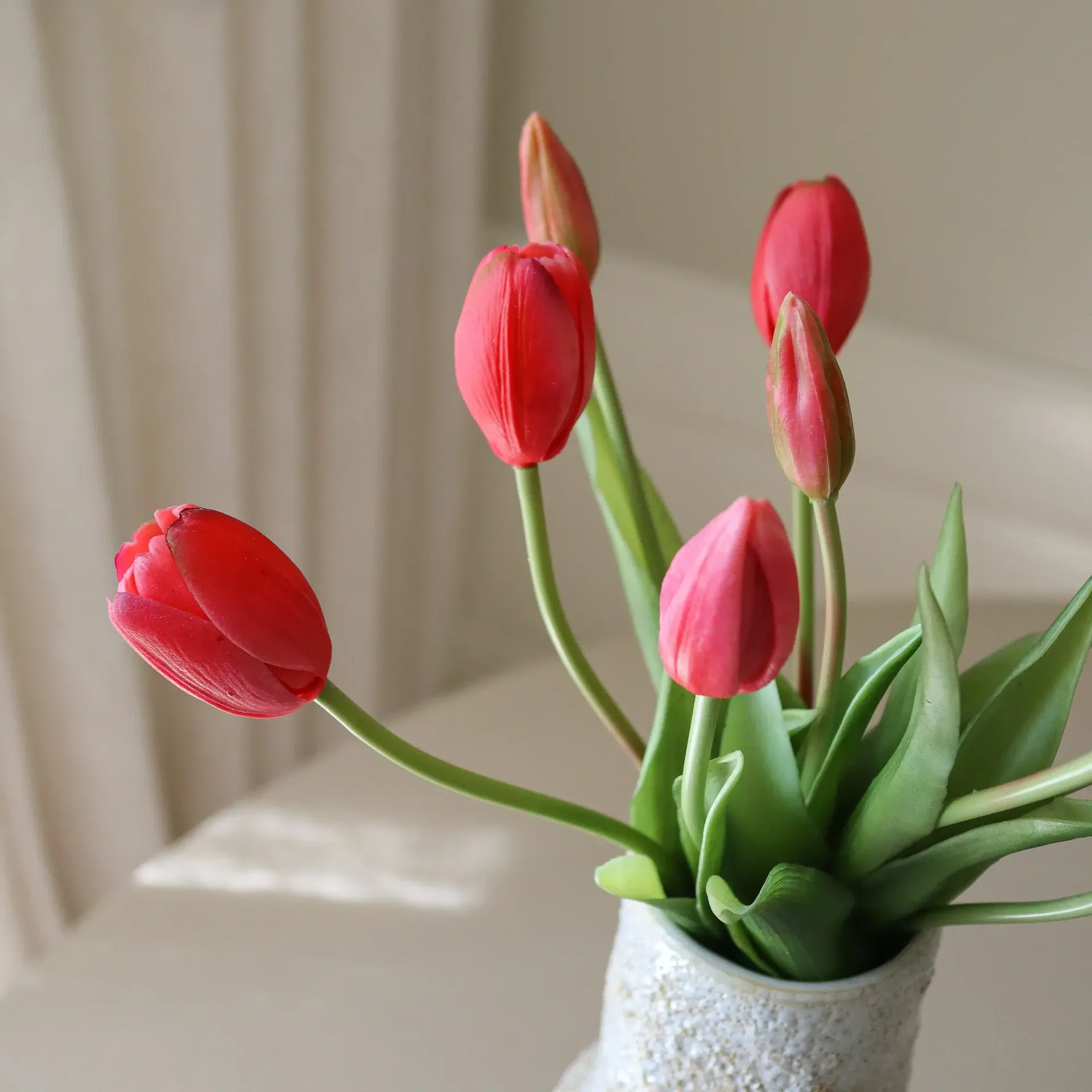 Tekotulppaanikimppu, Light red, 5 kpl Botané