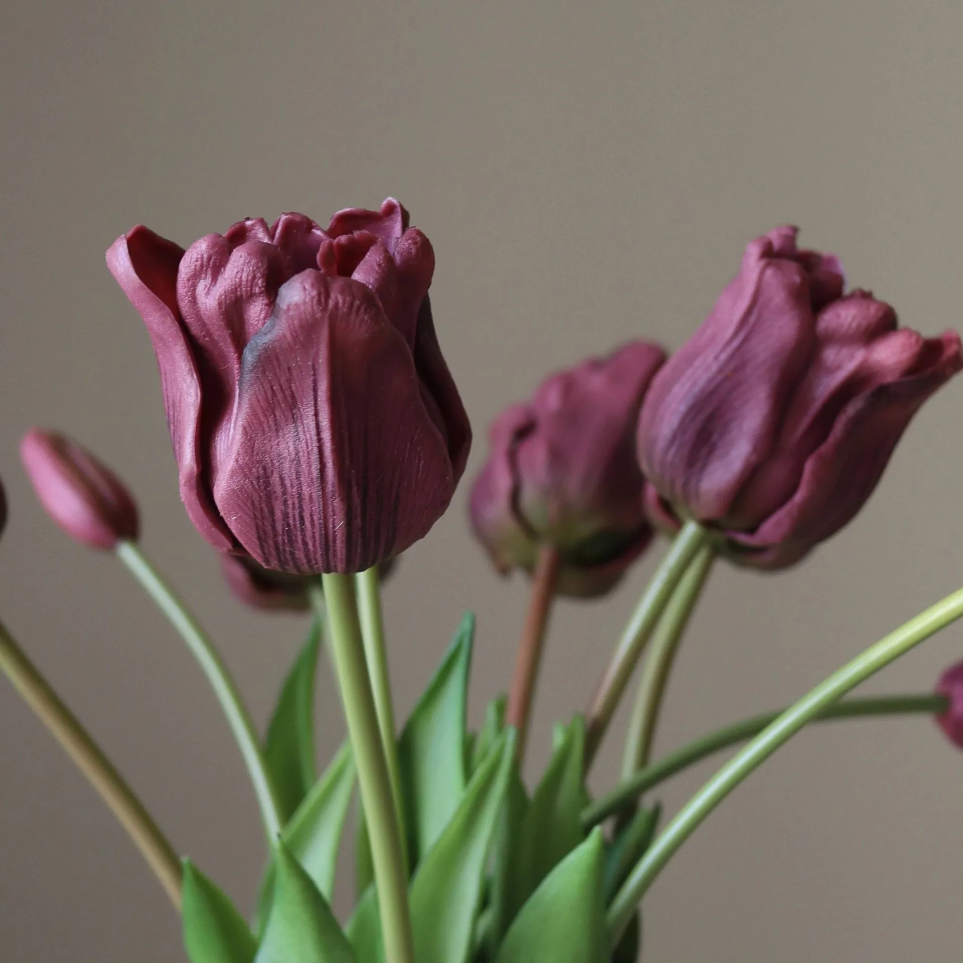 Tekotulppaanikimppu triumph, Lila, 10 kpl Botané