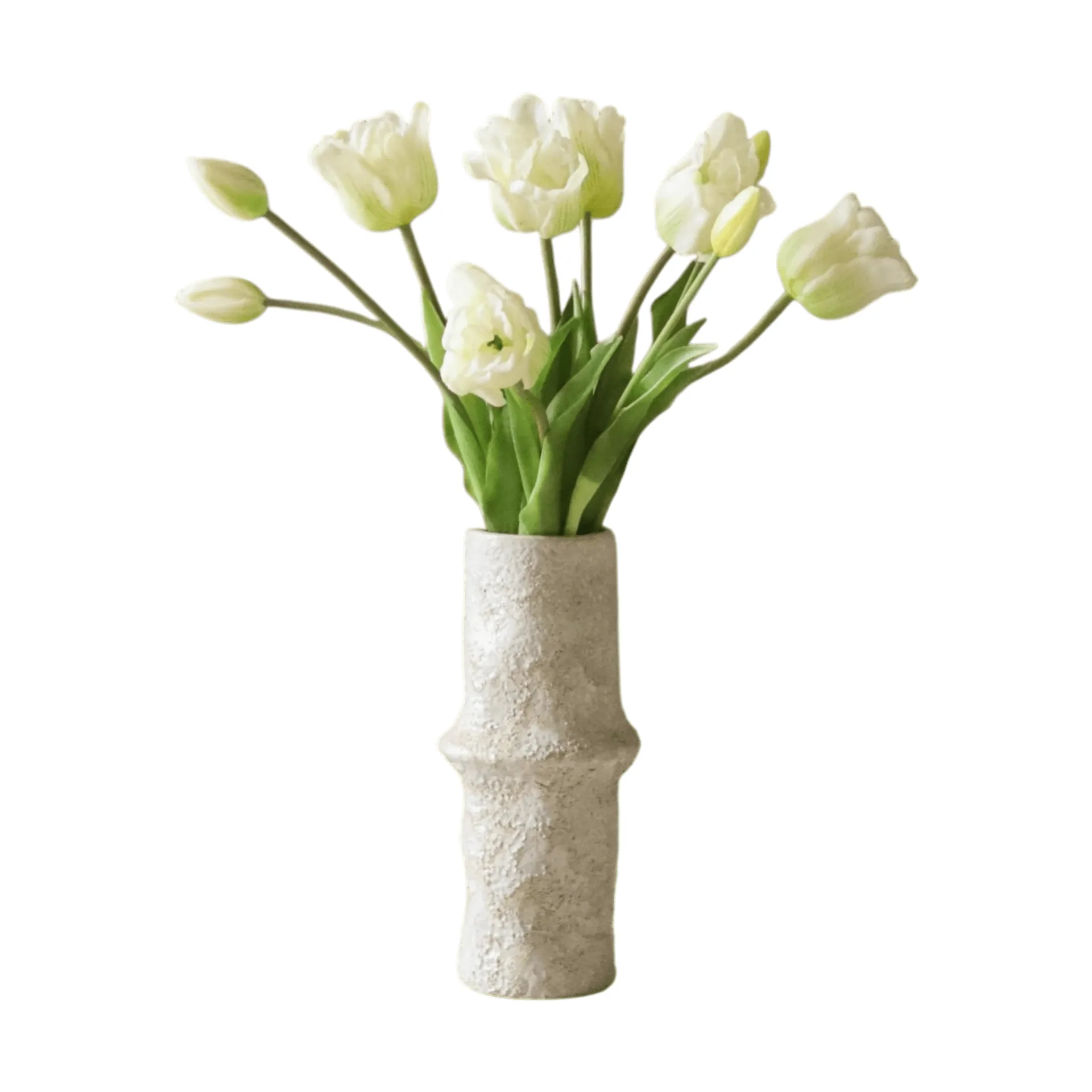 Tekotulppaanikimppu triumph, Valkoinen, 10 kpl Botané