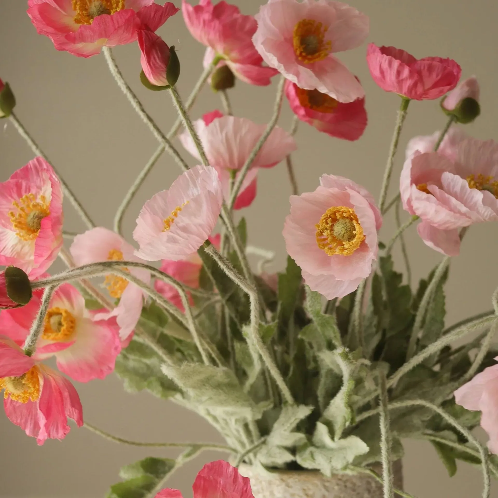 Vallmo tekokimppu, Pink Pursuit, vaaleanpunainen–pinkki, 10 kpl Botané