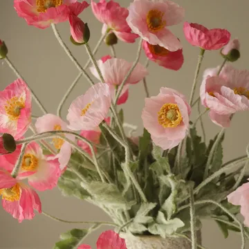Vallmo tekokimppu - Pink Pursuit, vaaleanpunainen–pinkki, 10 kpl - Botané