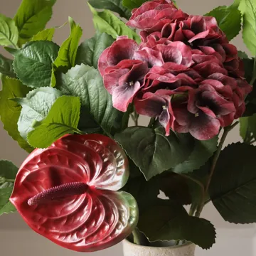Velvet rouge tekokimppu - Hortensianpunainen anthurium 6 kpl - Botané
