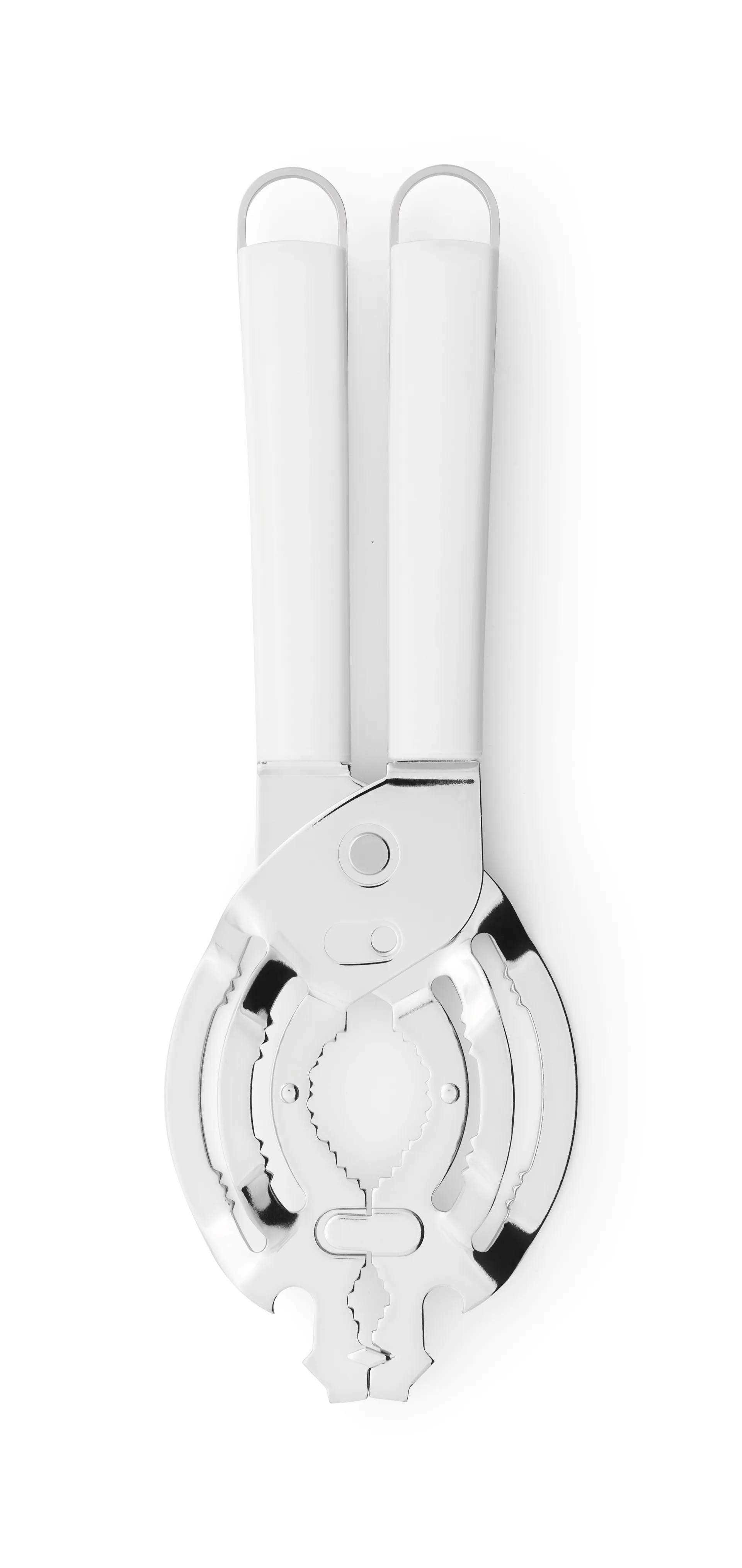 Brabantia yleisavaaja, Valkea Brabantia