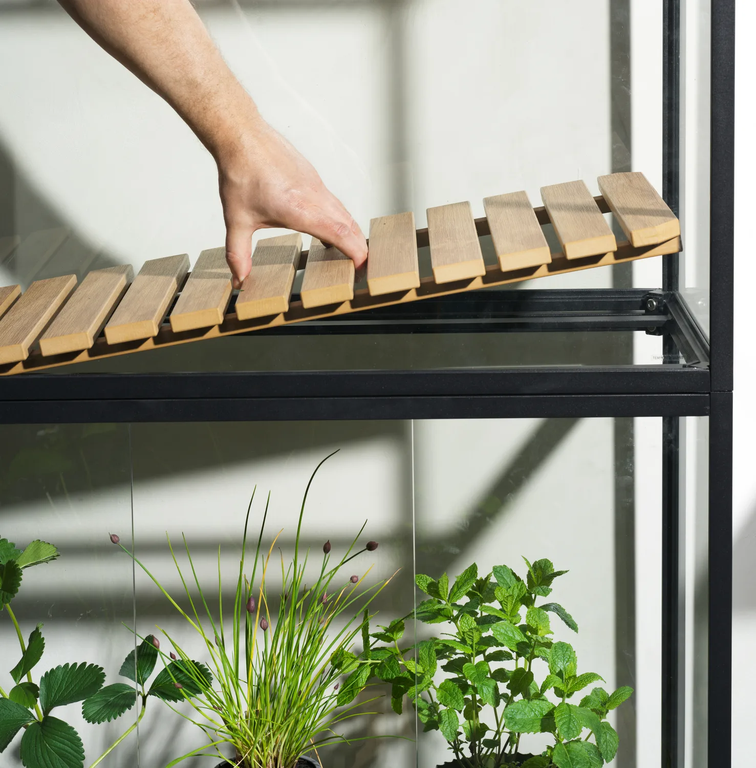 Grower Greens kasvikaappi, Musta, 81x137 cm Brafab