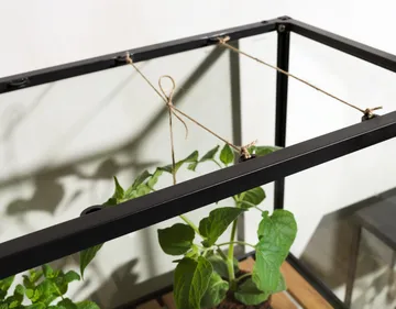 Grower Greens kasvikaappi - Musta, 81x137 cm - Brafab