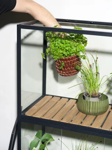 Grower Greens kasvikaappi - Musta, 81x137 cm - Brafab