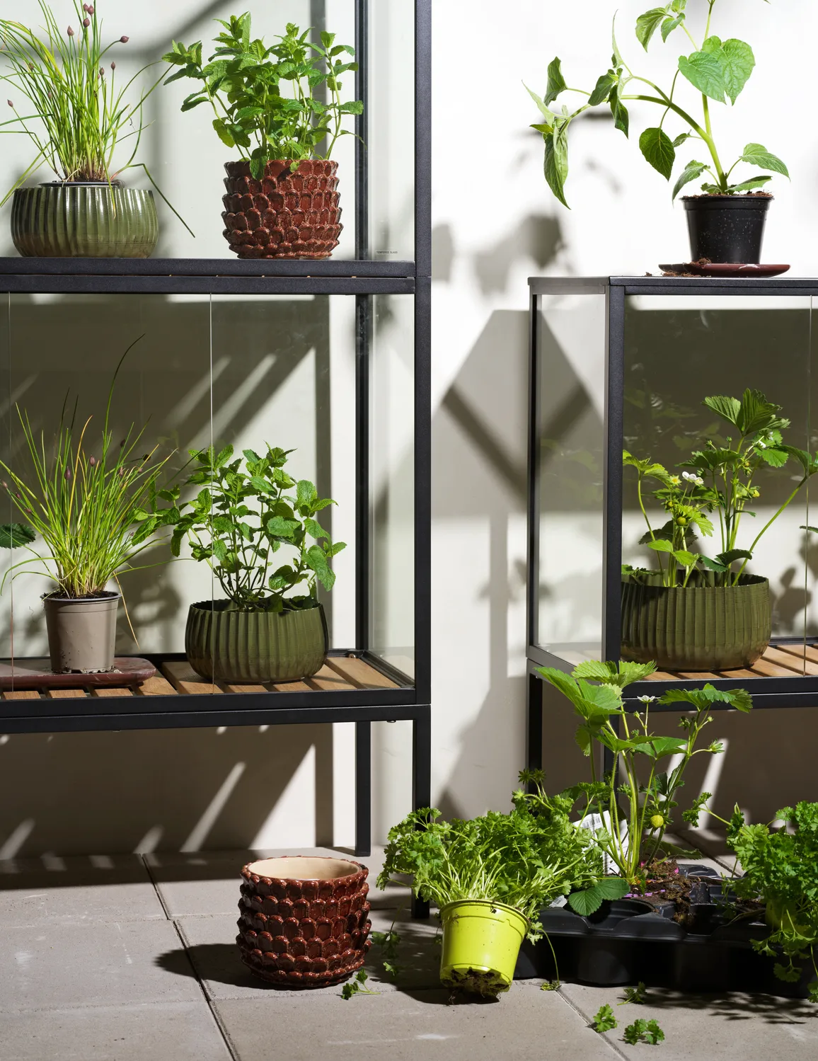 Grower Greens kasvikaappi, Musta, 81x82 cm Brafab