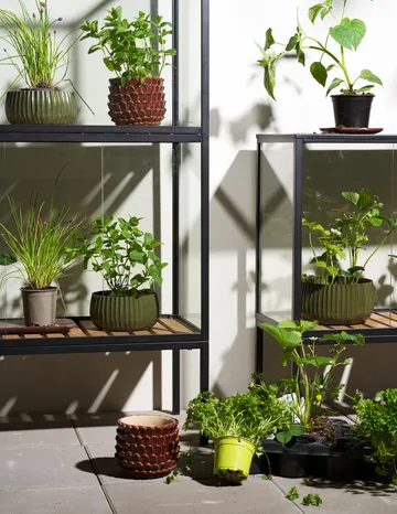 Grower Greens kasvikaappi - Musta, 81x82 cm - Brafab