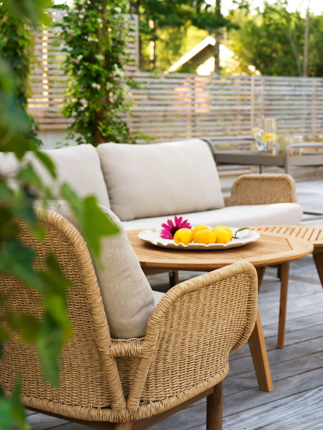 Lily nojatuoli, Twist olki plyysi vehnä Brafab