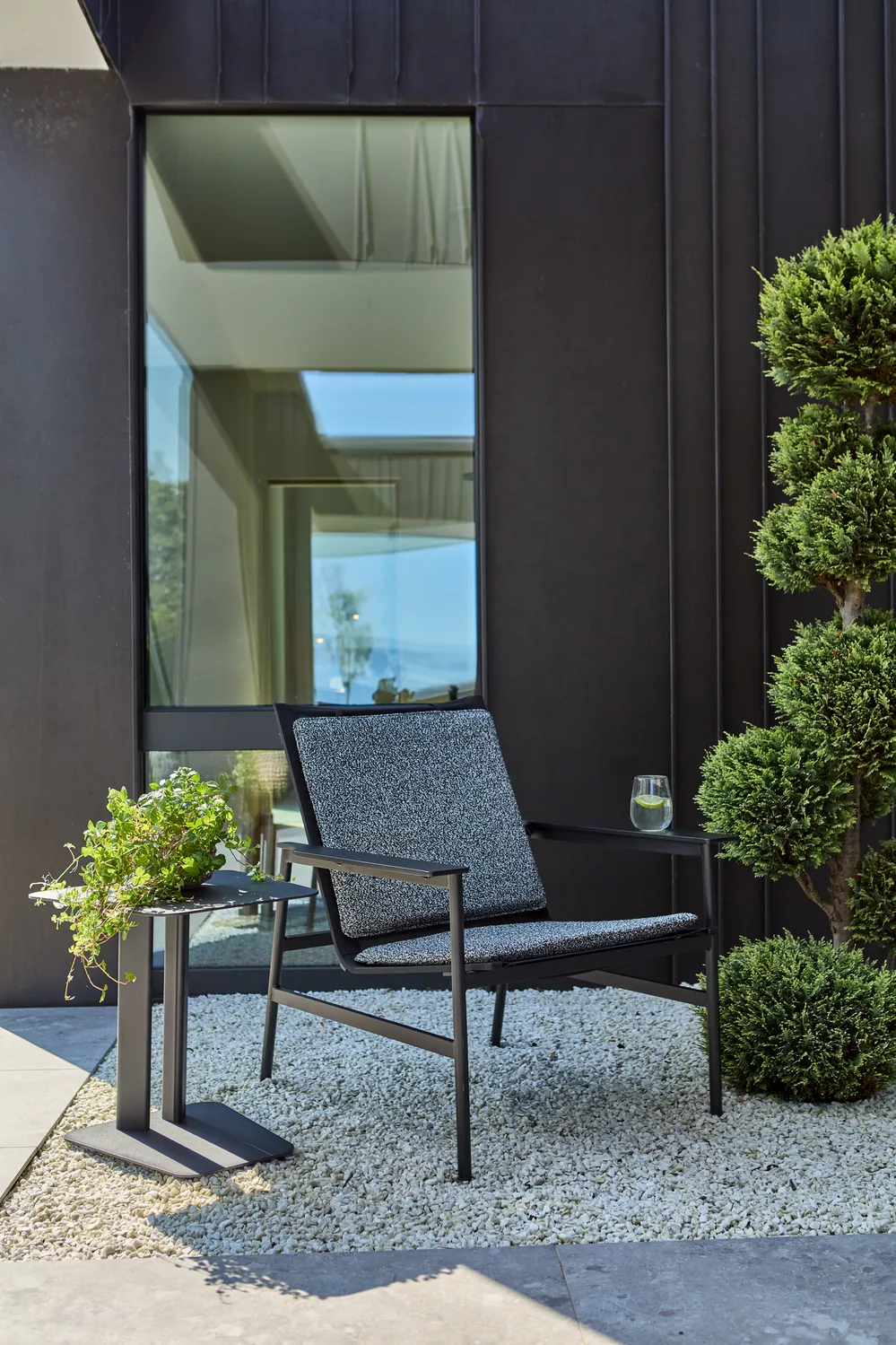 Soro-lepotuoli, Musta teddy ant Brafab