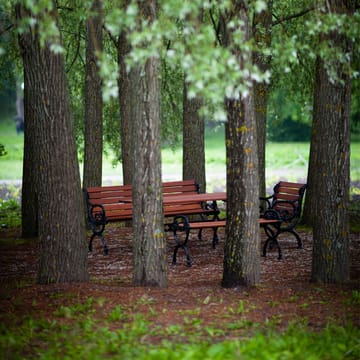 Byarum nojatuoli - Mänty ruskea laseeraus, valkoinen jalusta - Byarums bruk