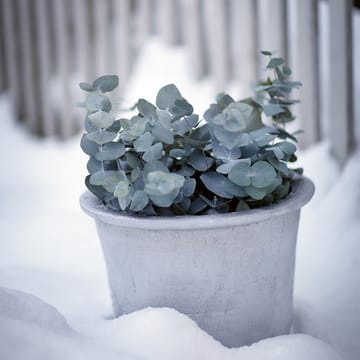 Cilla lautanen Ø37 cm - Alumiini - Byarums bruk