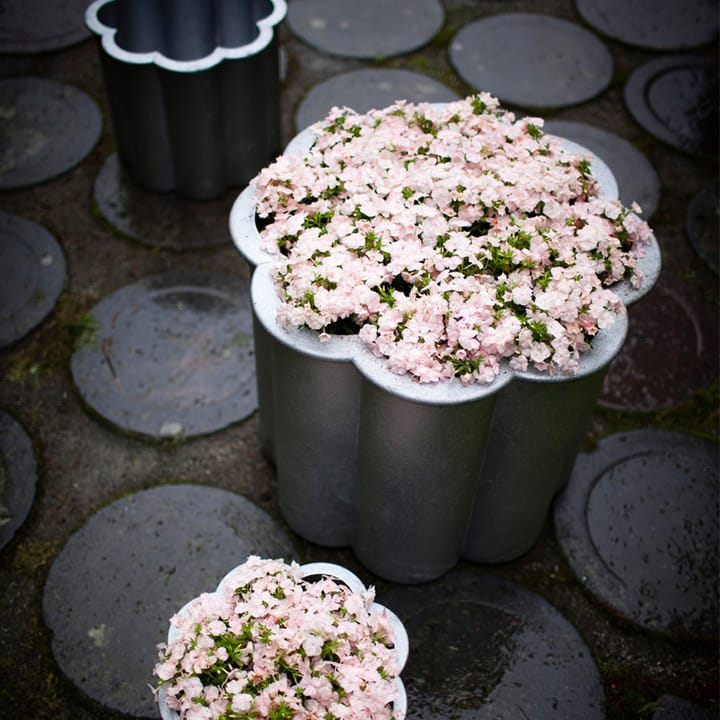 Gråsippa ruukku, Alumiini hiekkavalutettu, no. 3 Ø62 cm Byarums bruk