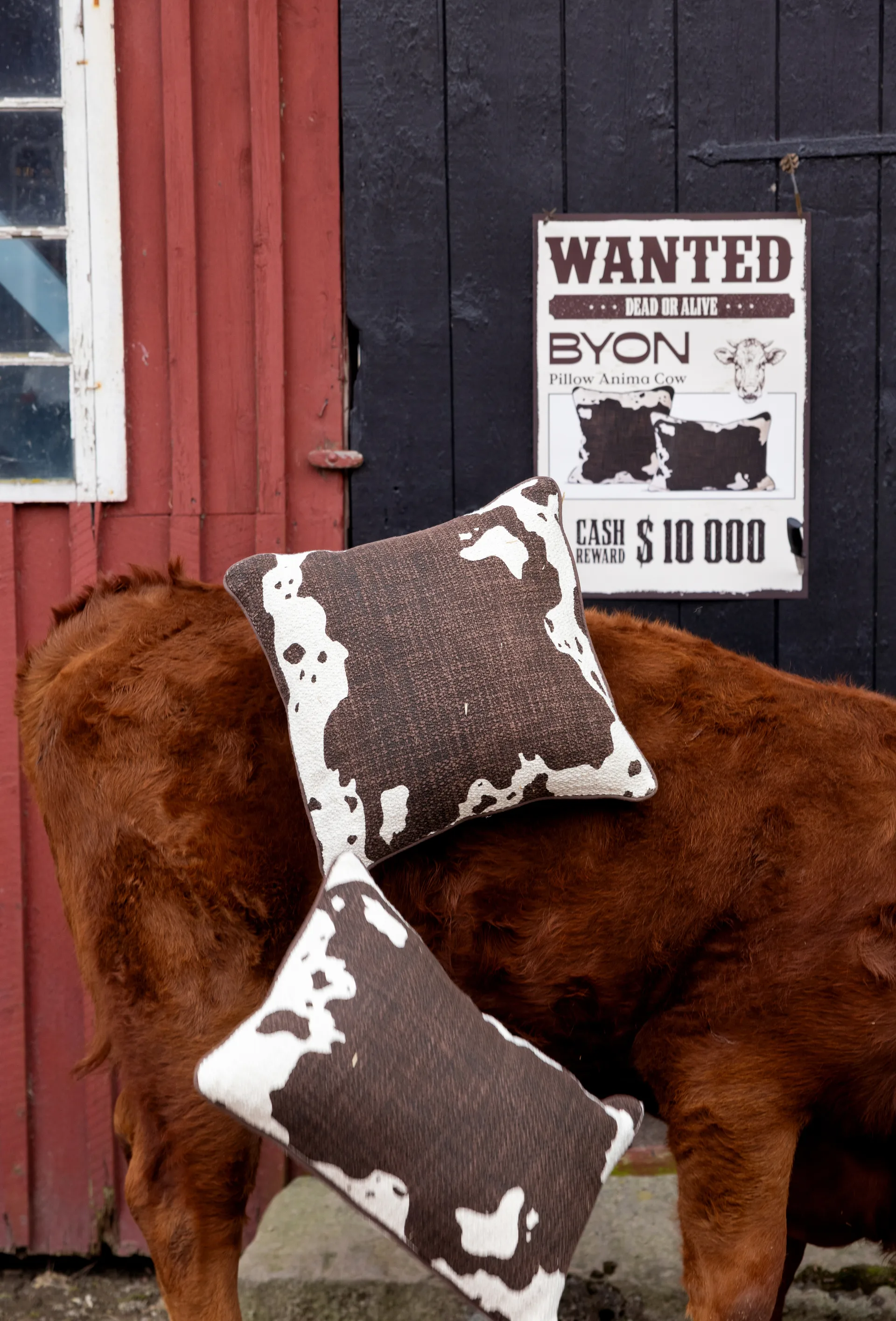 Anima tyyny L 40x60 cm, Lehmä Byon