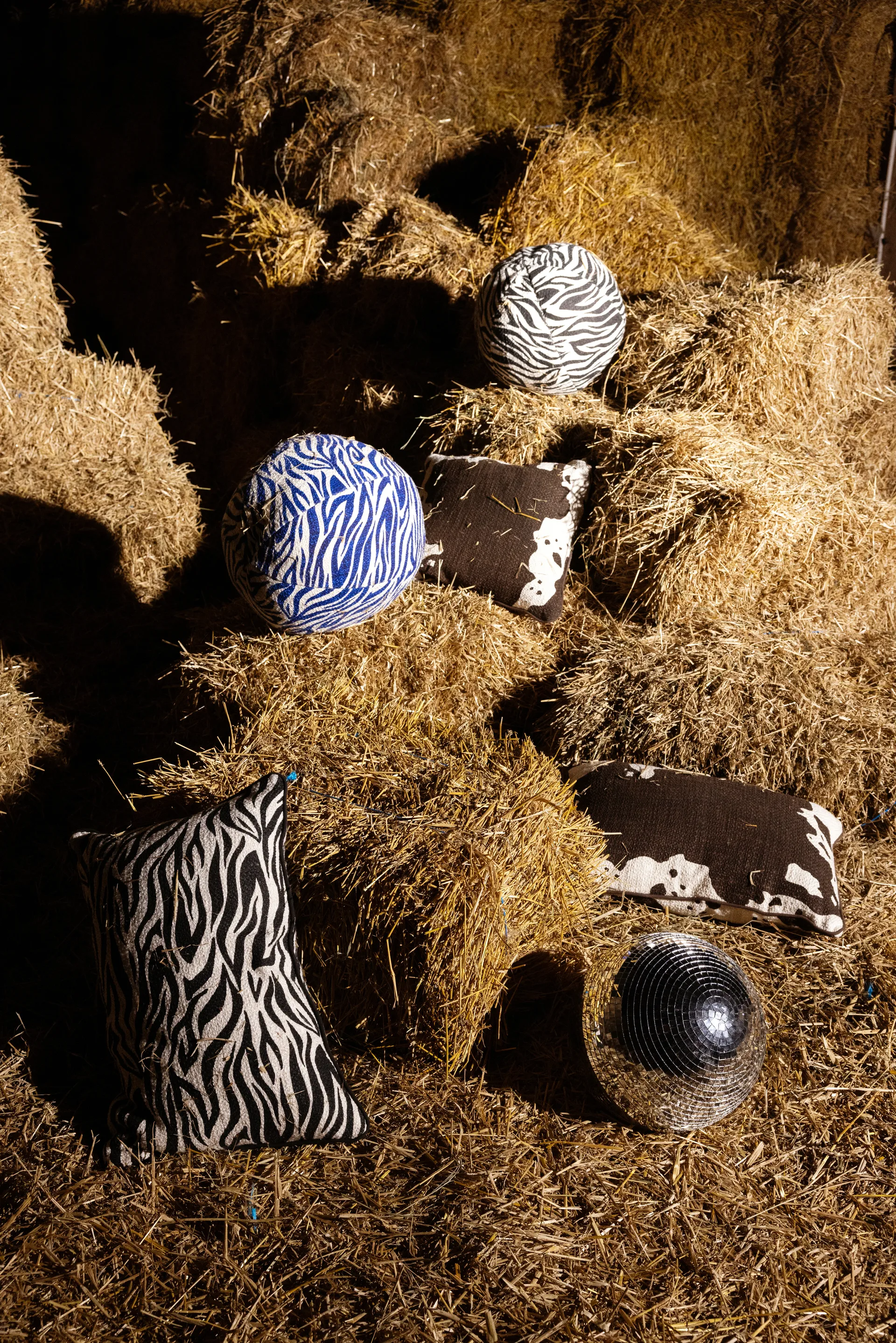 Anima tyyny L 40x60 cm, Zebra-musta Byon