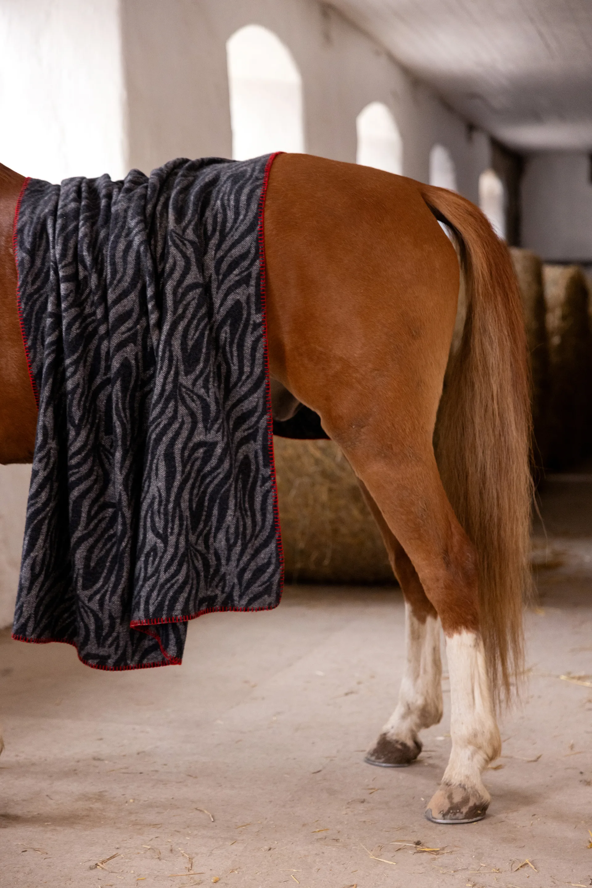 Anima viltti 130x200 cm, Zebra Byon