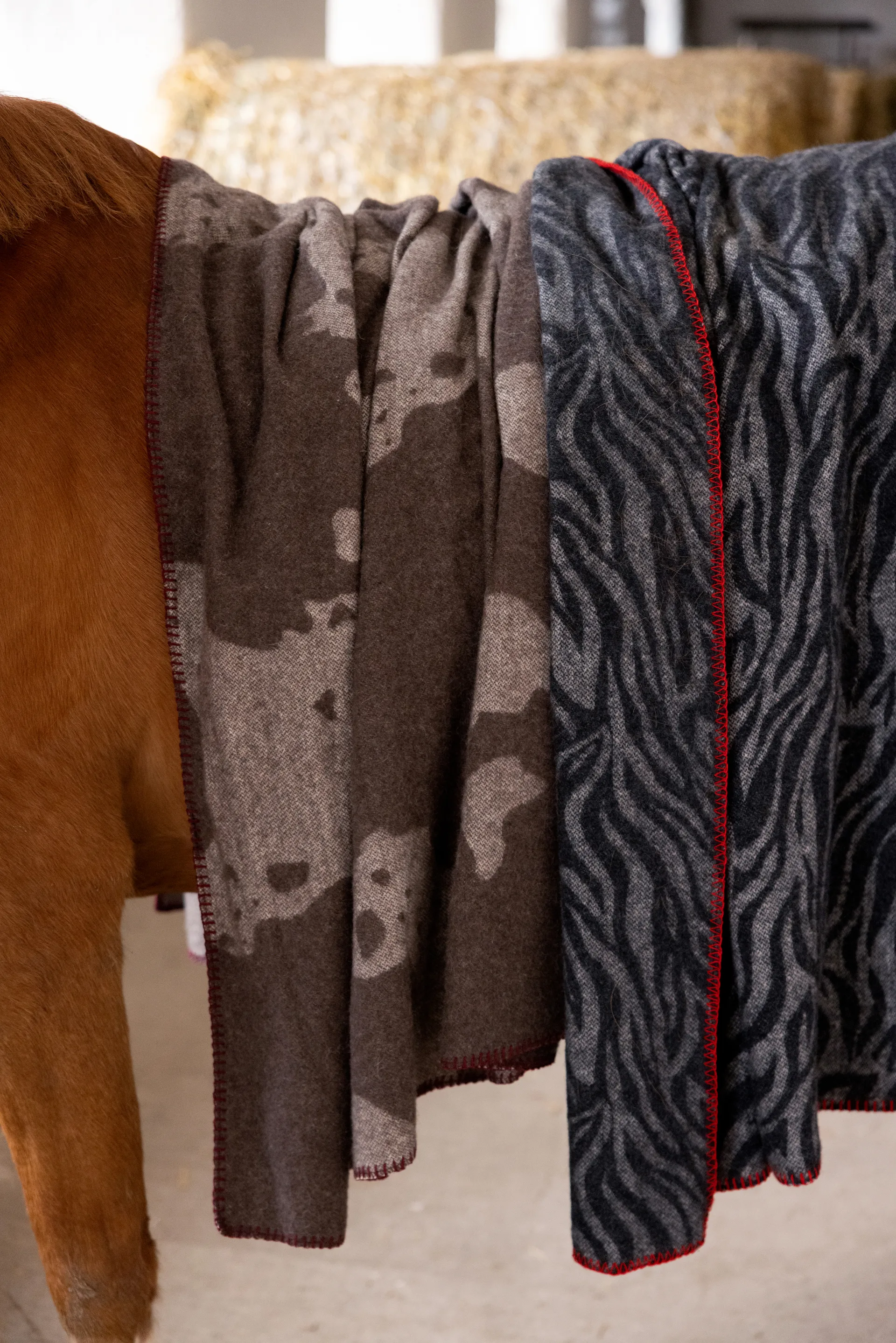 Anima viltti 130x200 cm, Zebra Byon